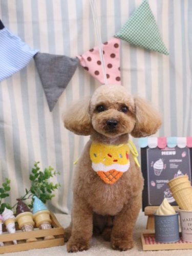 20250511シェリーくん